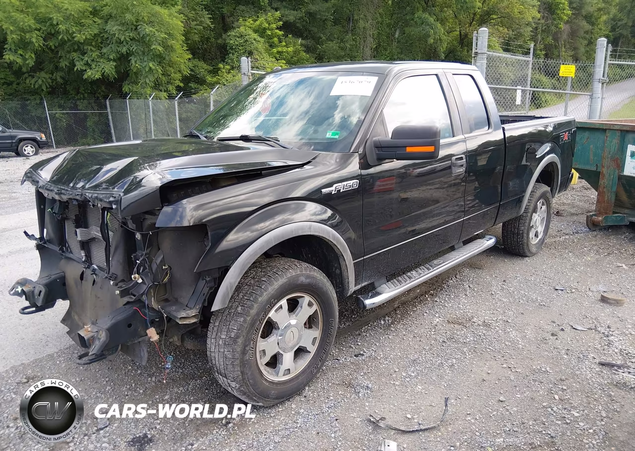 2010 Ford F-150 Fx4-Lariat-Xl-Xlt VIN:1FTFX1EV0AFD49061 - 2