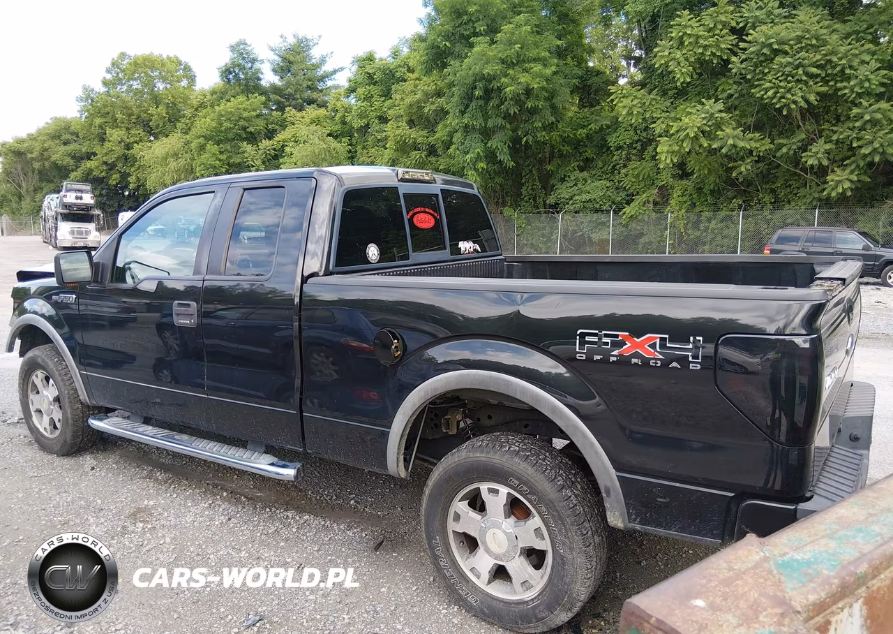 2010 Ford F-150 Fx4-Lariat-Xl-Xlt VIN:1FTFX1EV0AFD49061 - 3
