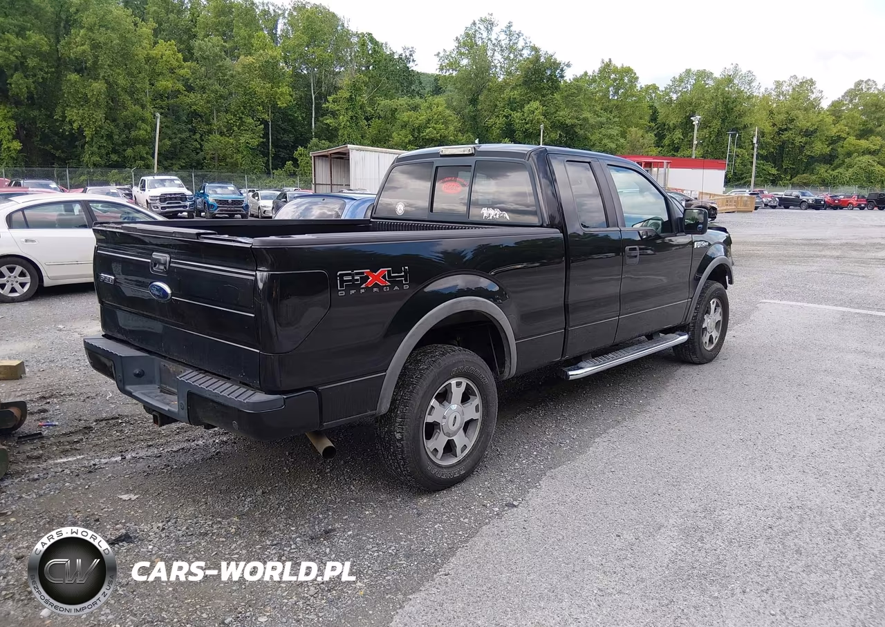 2010 Ford F-150 Fx4-Lariat-Xl-Xlt VIN:1FTFX1EV0AFD49061 - 4