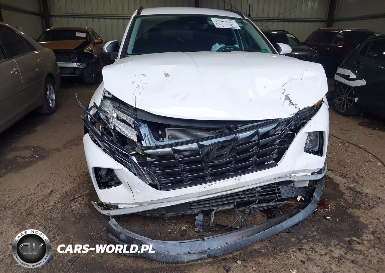 2024 Hyundai Tucson Sel VIN:5NMJB3DEXRH368561 - 12