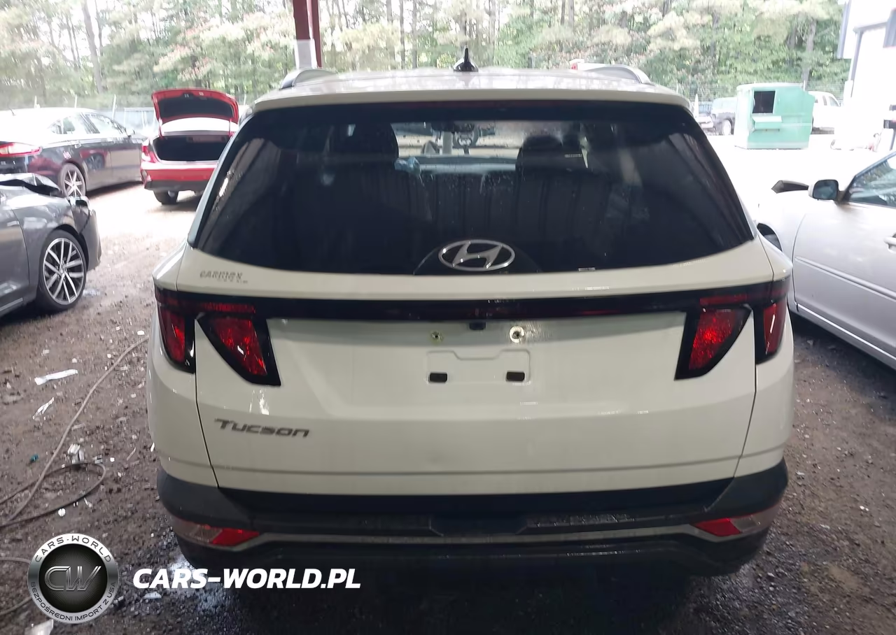 2024 Hyundai Tucson Sel VIN:5NMJB3DEXRH368561 - 16
