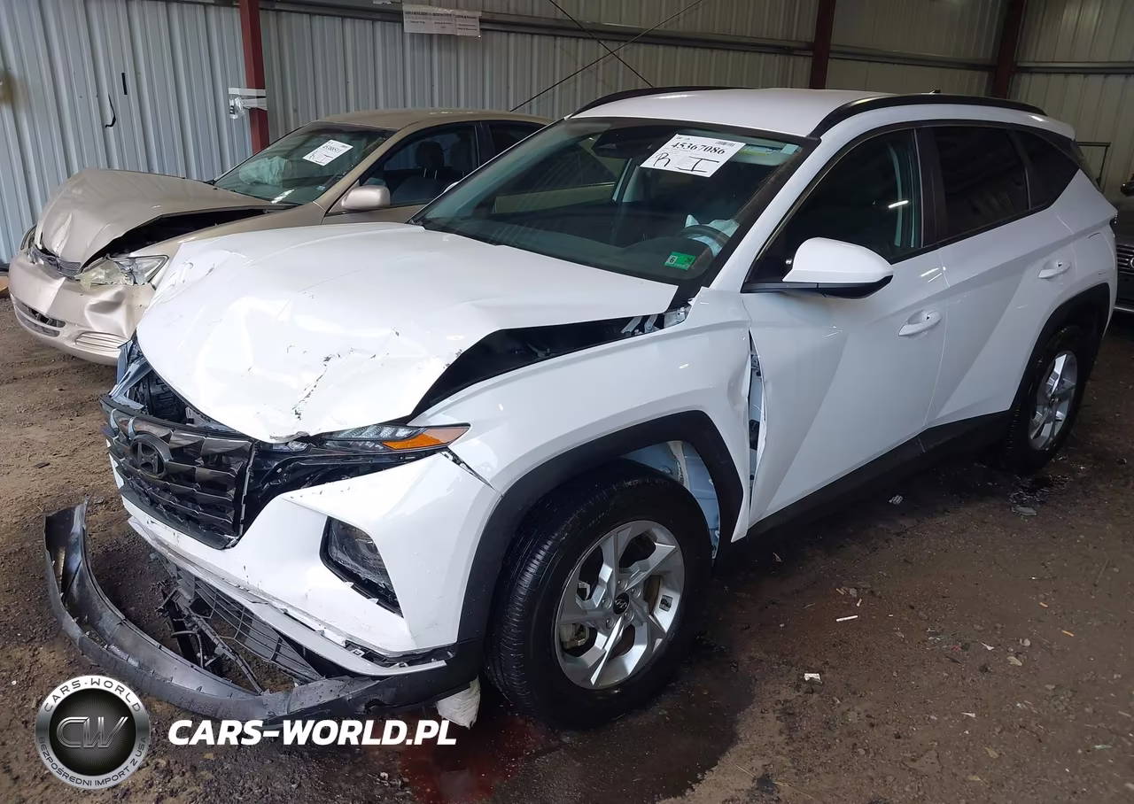 2024 Hyundai Tucson Sel VIN:5NMJB3DEXRH368561 - 2