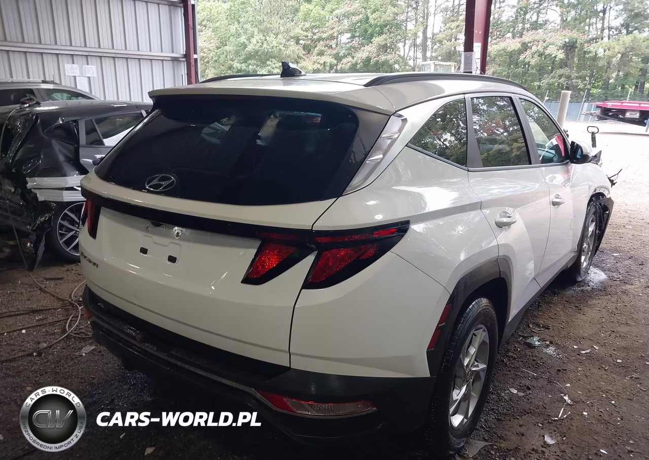 2024 Hyundai Tucson Sel VIN:5NMJB3DEXRH368561 - 4
