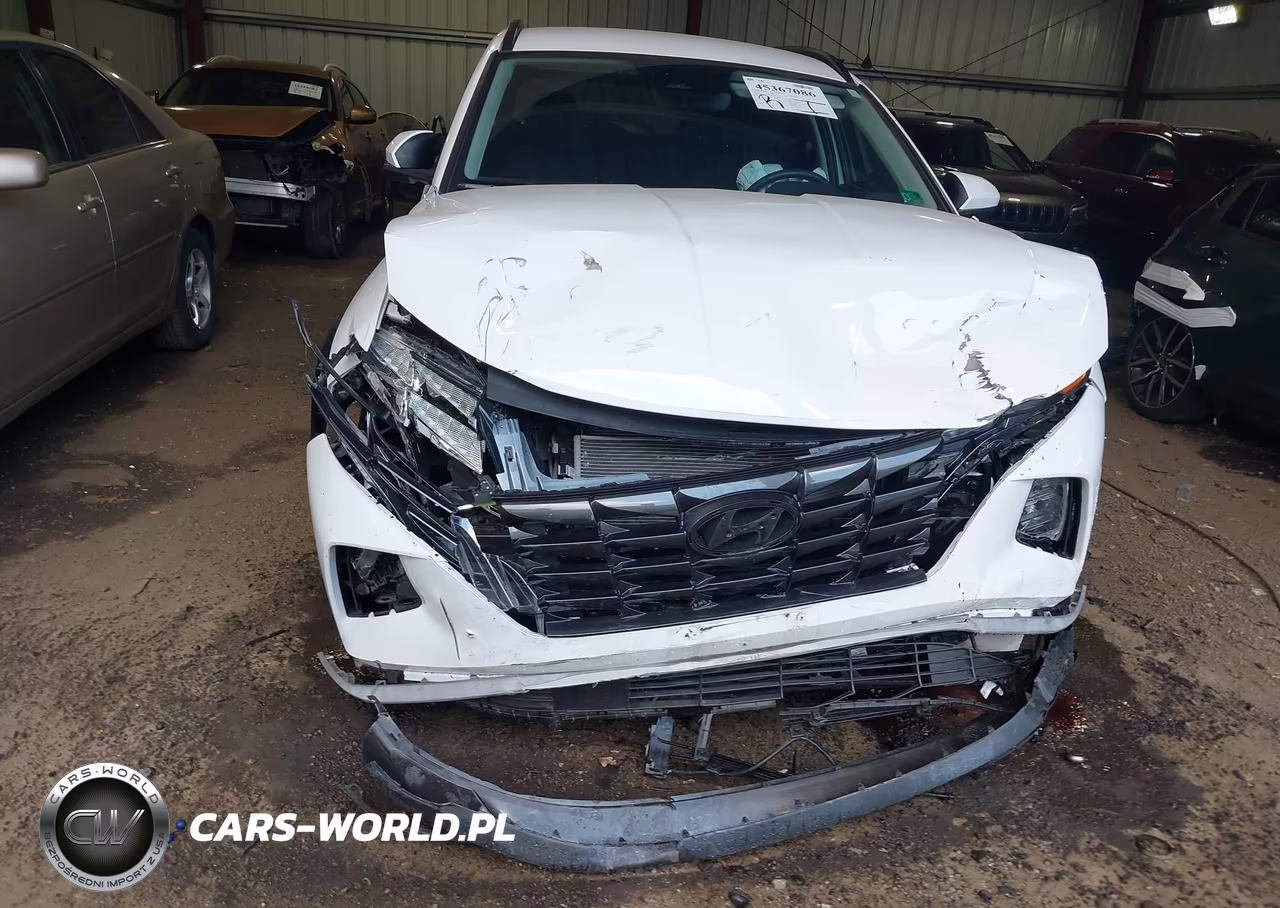 2024 Hyundai Tucson Sel VIN:5NMJB3DEXRH368561 - 6