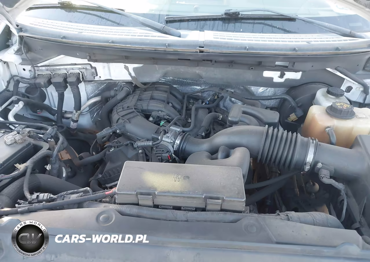 2011 Ford F-150 Xlt VIN:1FTEX1CM9BFB66975 - 10