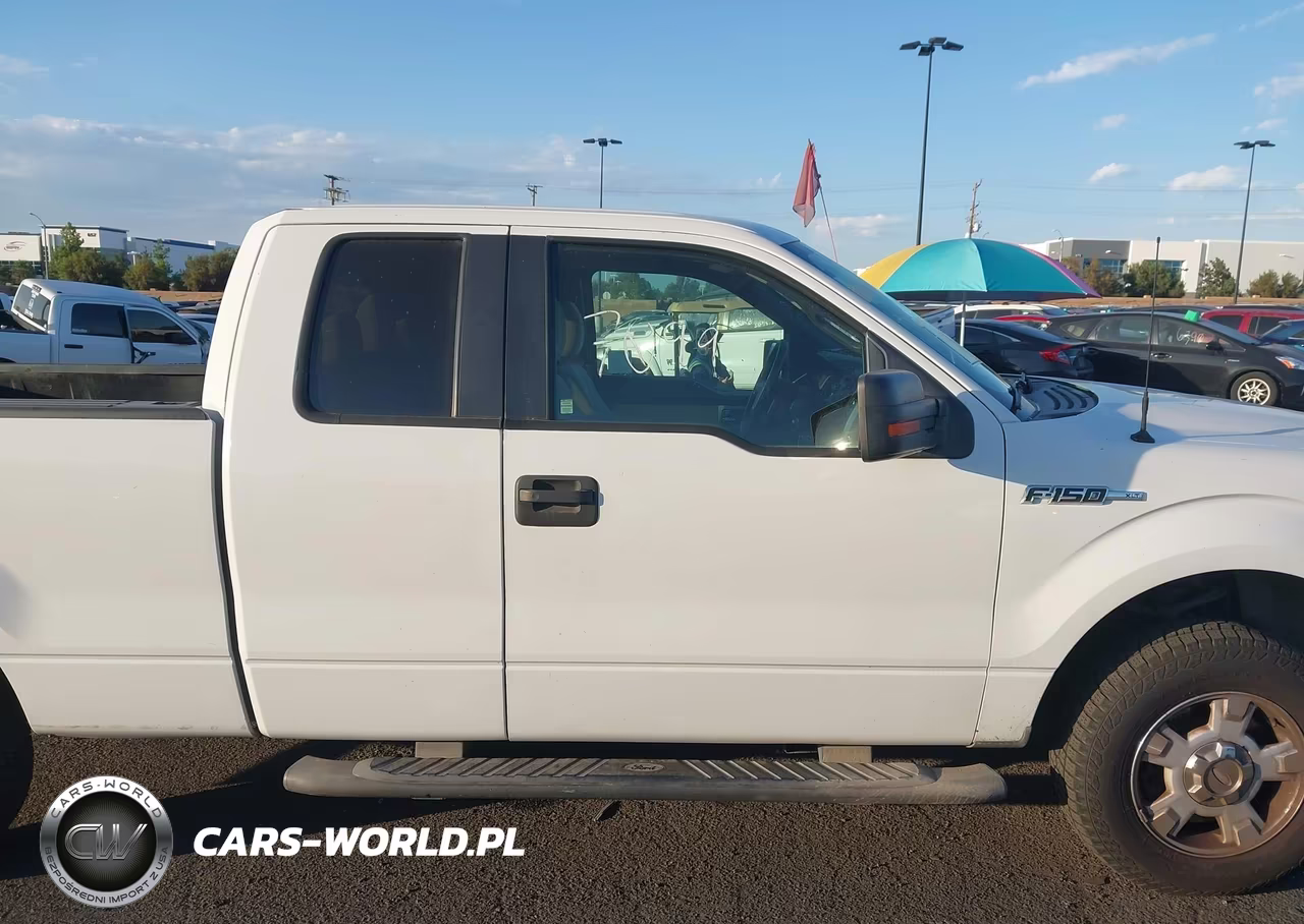 2011 Ford F-150 Xlt VIN:1FTEX1CM9BFB66975 - 13
