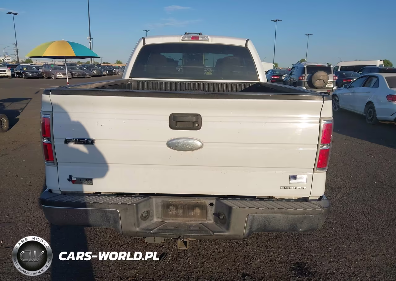 2011 Ford F-150 Xlt VIN:1FTEX1CM9BFB66975 - 16
