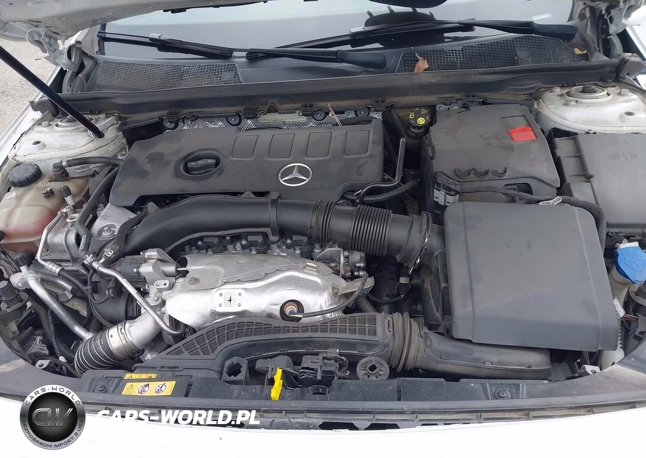 2020 Mercedes-Benz A 220 VIN:WDD3G4EB9LW037730 - 10