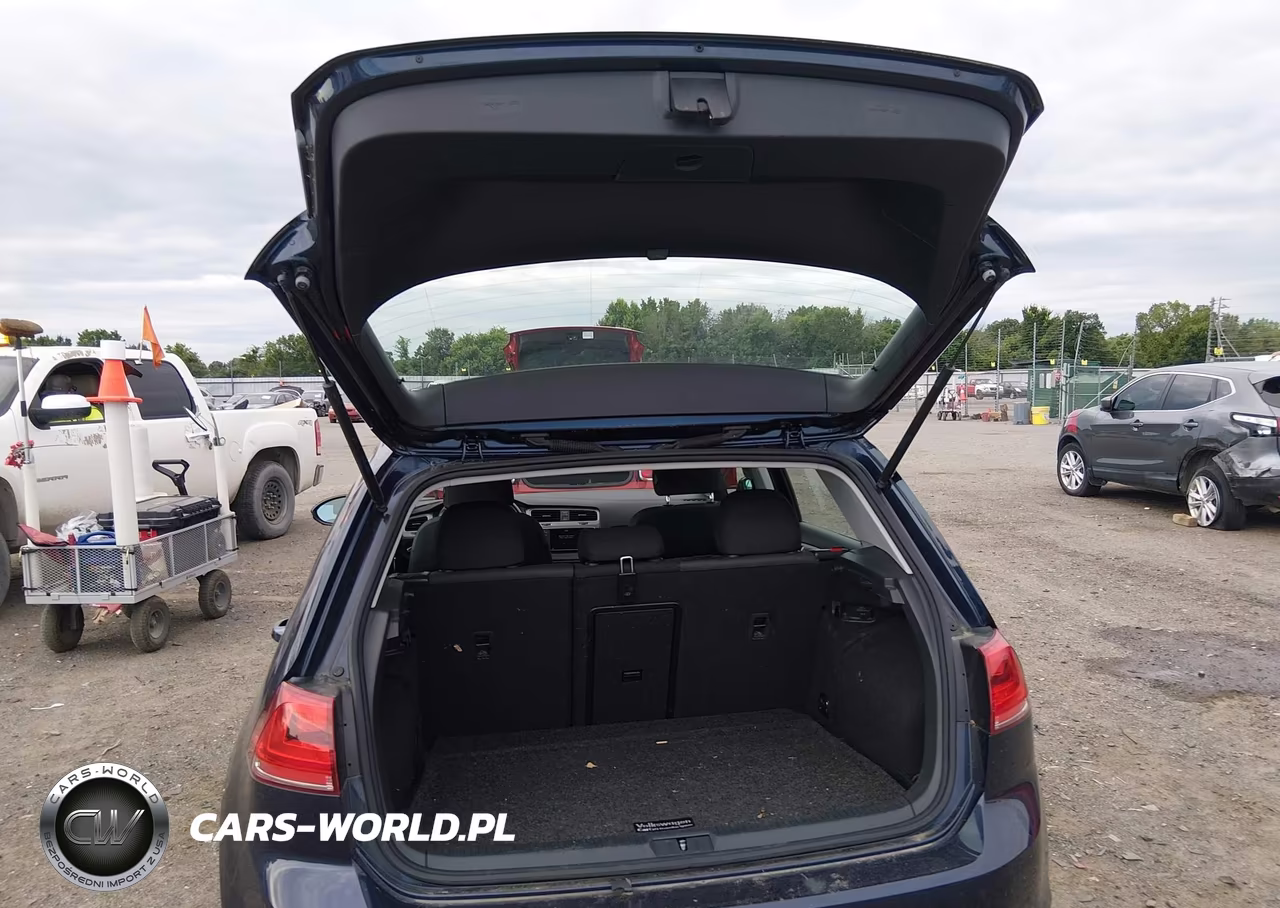 2016 Volkswagen Golf Tsi S 4-Door VIN:3VW217AU4GM062117 - 17