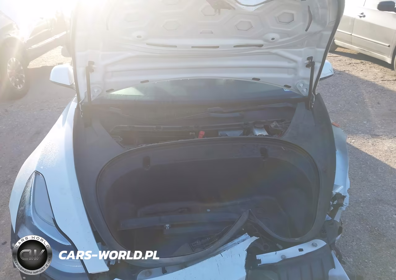 2020 Tesla Model 3 Standard Range Plus Rear-Wheel Drive-Standard Range Rear-Wheel Drive VIN:5YJ3E1EAXLF615957 - 10