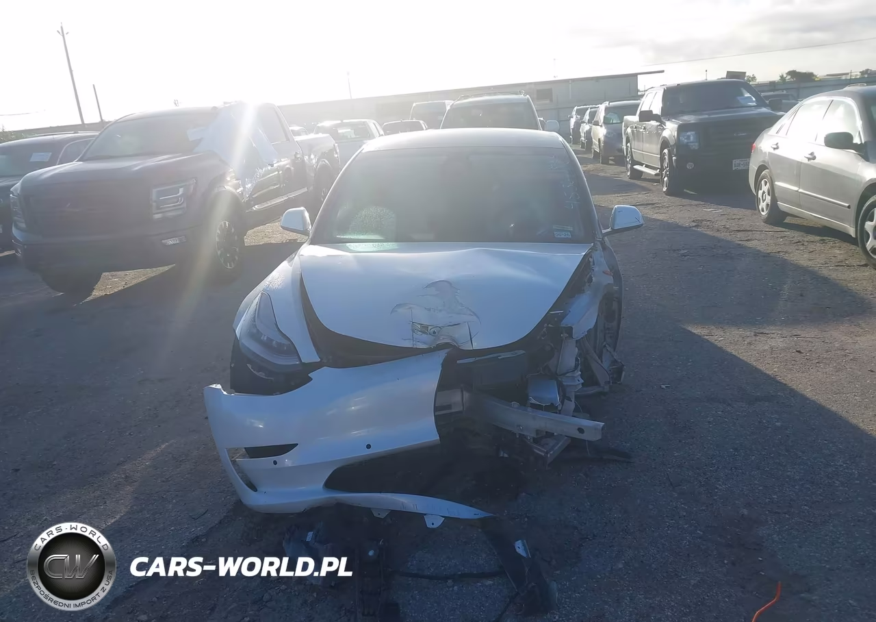 2020 Tesla Model 3 Standard Range Plus Rear-Wheel Drive-Standard Range Rear-Wheel Drive VIN:5YJ3E1EAXLF615957 - 12