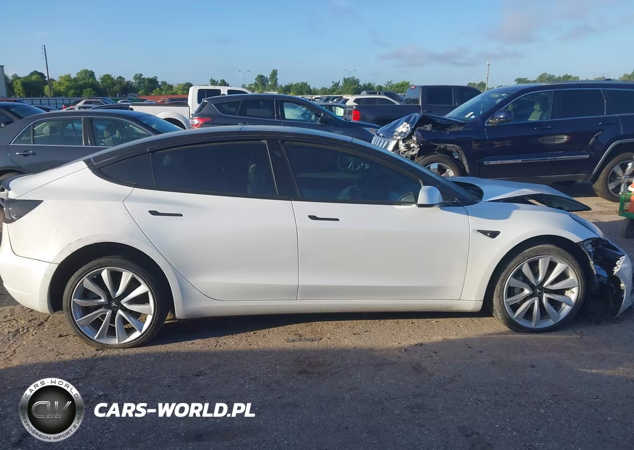 2020 Tesla Model 3 Standard Range Plus Rear-Wheel Drive-Standard Range Rear-Wheel Drive VIN:5YJ3E1EAXLF615957 - 13
