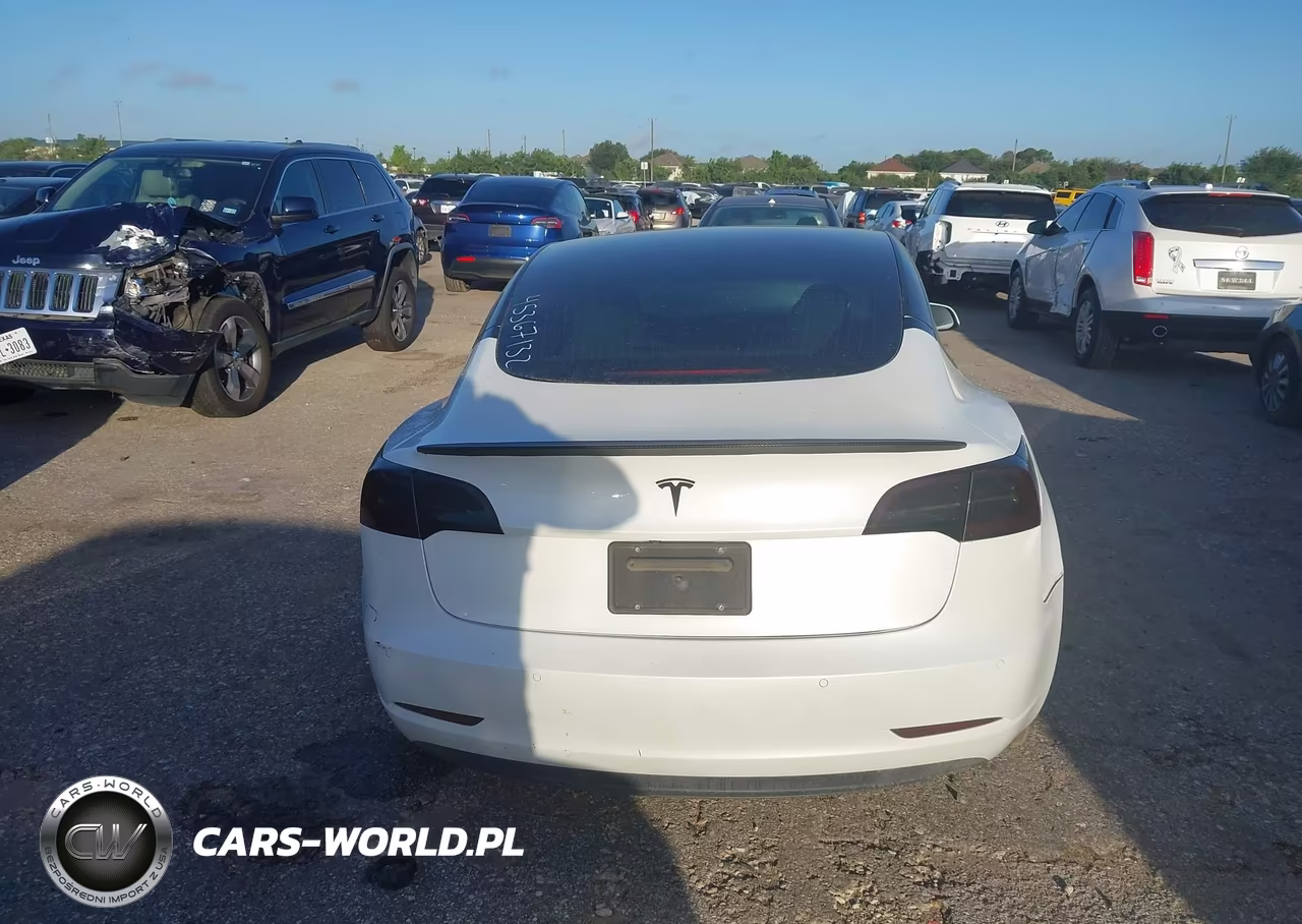 2020 Tesla Model 3 Standard Range Plus Rear-Wheel Drive-Standard Range Rear-Wheel Drive VIN:5YJ3E1EAXLF615957 - 16