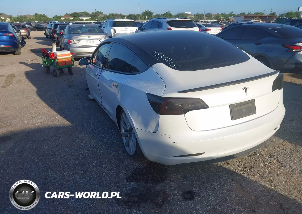 2020 Tesla Model 3 Standard Range Plus Rear-Wheel Drive-Standard Range Rear-Wheel Drive VIN:5YJ3E1EAXLF615957 - 3