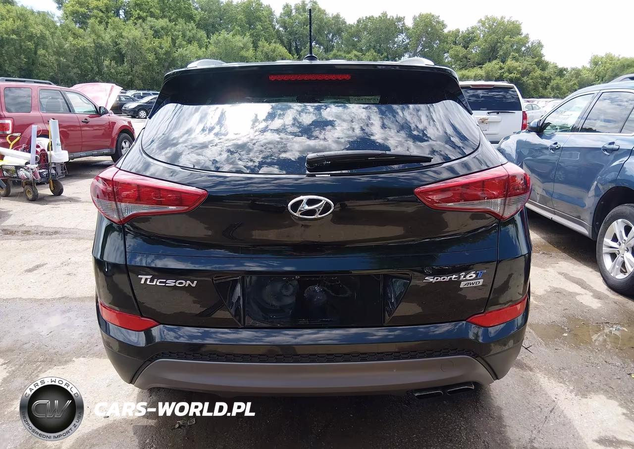 2016 Hyundai Tucson Sport VIN:KM8J3CA29GU161863 - 17