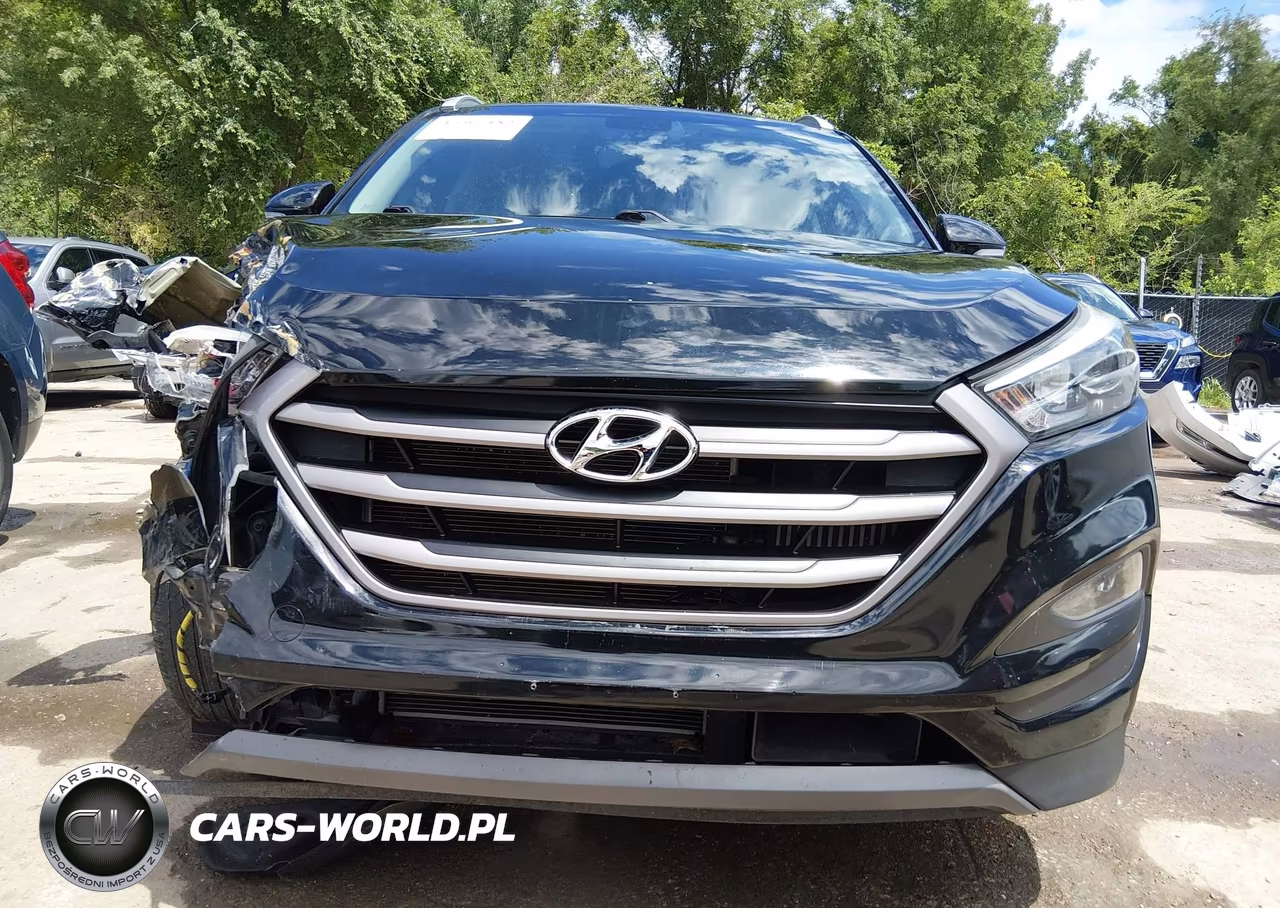 2016 Hyundai Tucson Sport VIN:KM8J3CA29GU161863 - 18