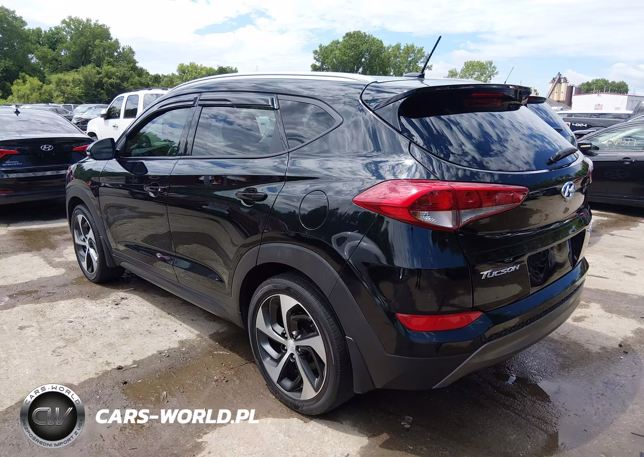 2016 Hyundai Tucson Sport VIN:KM8J3CA29GU161863 - 3