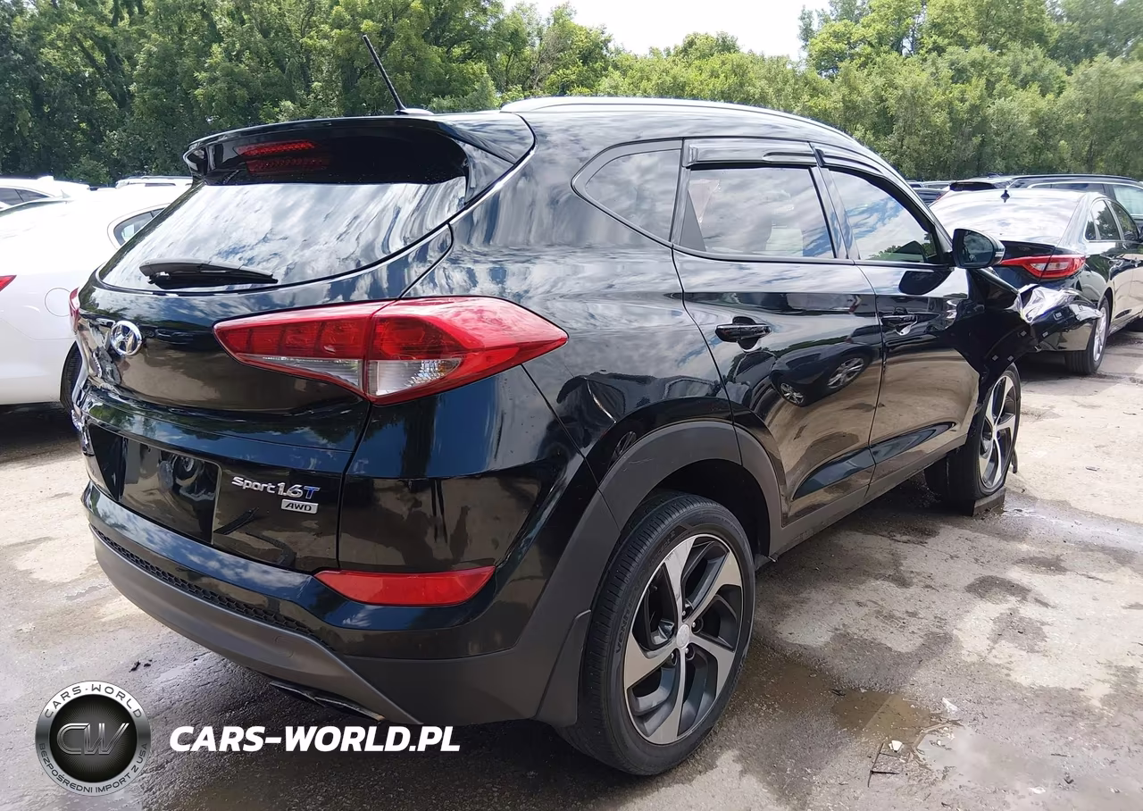 2016 Hyundai Tucson Sport VIN:KM8J3CA29GU161863 - 4