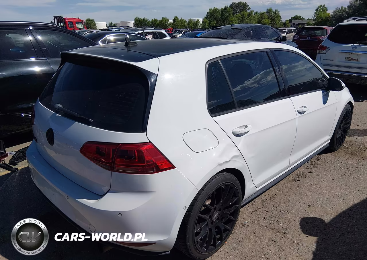 2016 Volkswagen Golf Gti Se W-Performance Pkg VIN:3VW547AU3GM016671 - 4