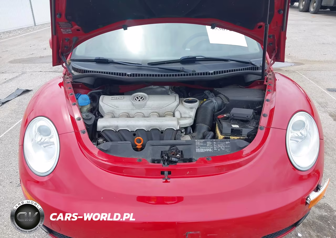 2006 Volkswagen New Beetle 2.5-2.5 (A6) VIN:3VWSW31C46M402480 - 10