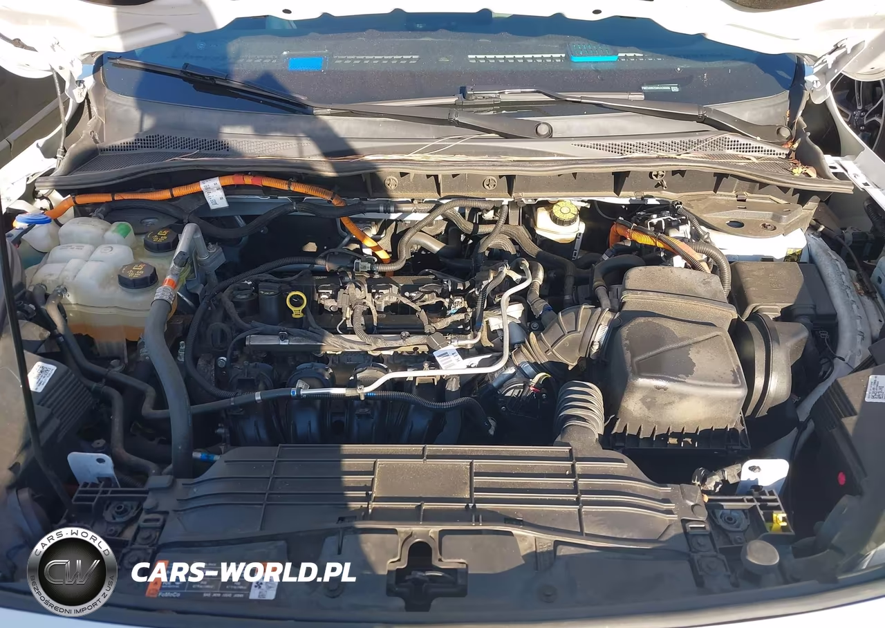 2022 Ford Escape Se Hybrid VIN:1FMCU0BZ5NUA26506 - 10