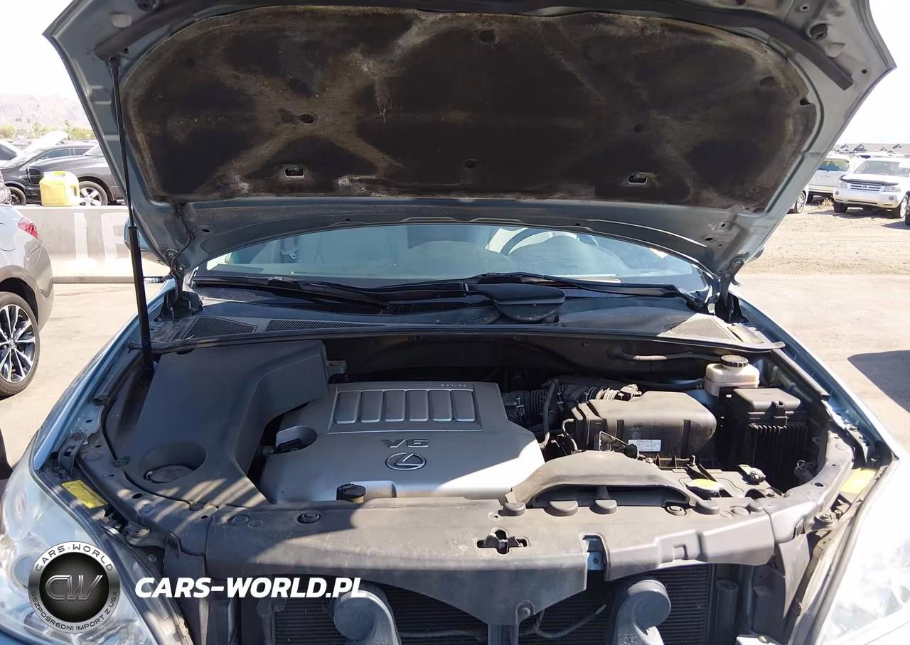 2009 Lexus Rx 350 VIN:2T2GK31U39C062583 - 10
