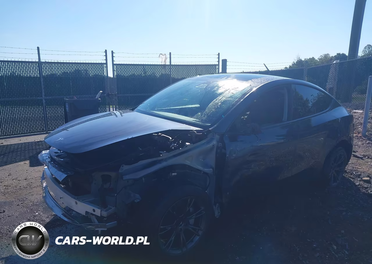 2025 Tesla Model Y Long Range Dual Motor Rear-Wheel Drive VIN:7SAYGDED1SF270640 - 2