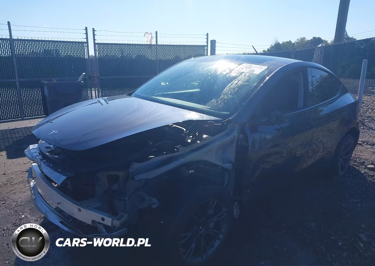 2025 Tesla Model Y Long Range Dual Motor Rear-Wheel Drive VIN:7SAYGDED1SF270640 - 6