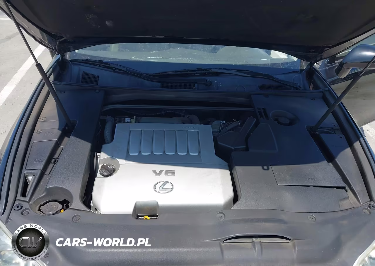 2009 Lexus Es 350 VIN:JTHBJ46G692276118 - 10