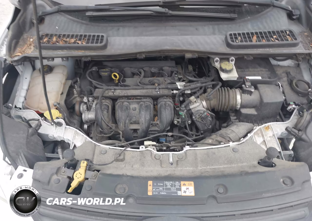 2014 Ford Escape S VIN:1FMCU0F71EUD09977 - 10