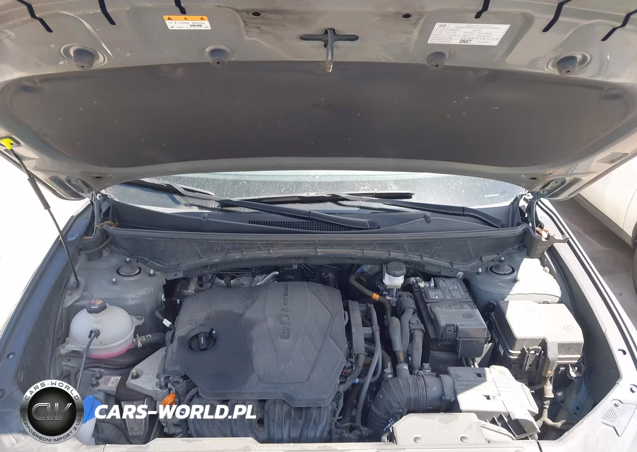 2024 Hyundai Tucson Sel VIN:5NMJBCDE2RH428980 - 10