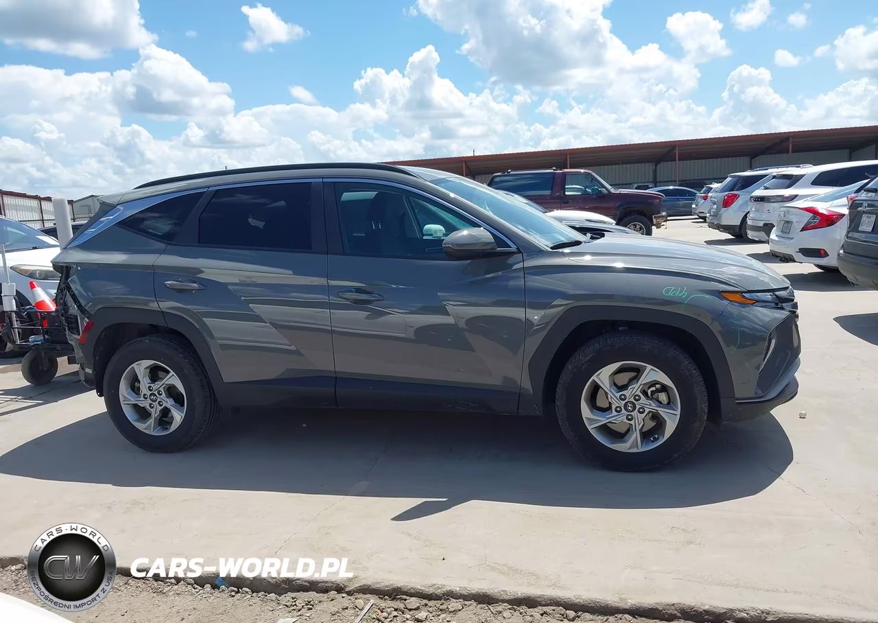 2024 Hyundai Tucson Sel VIN:5NMJBCDE2RH428980 - 13