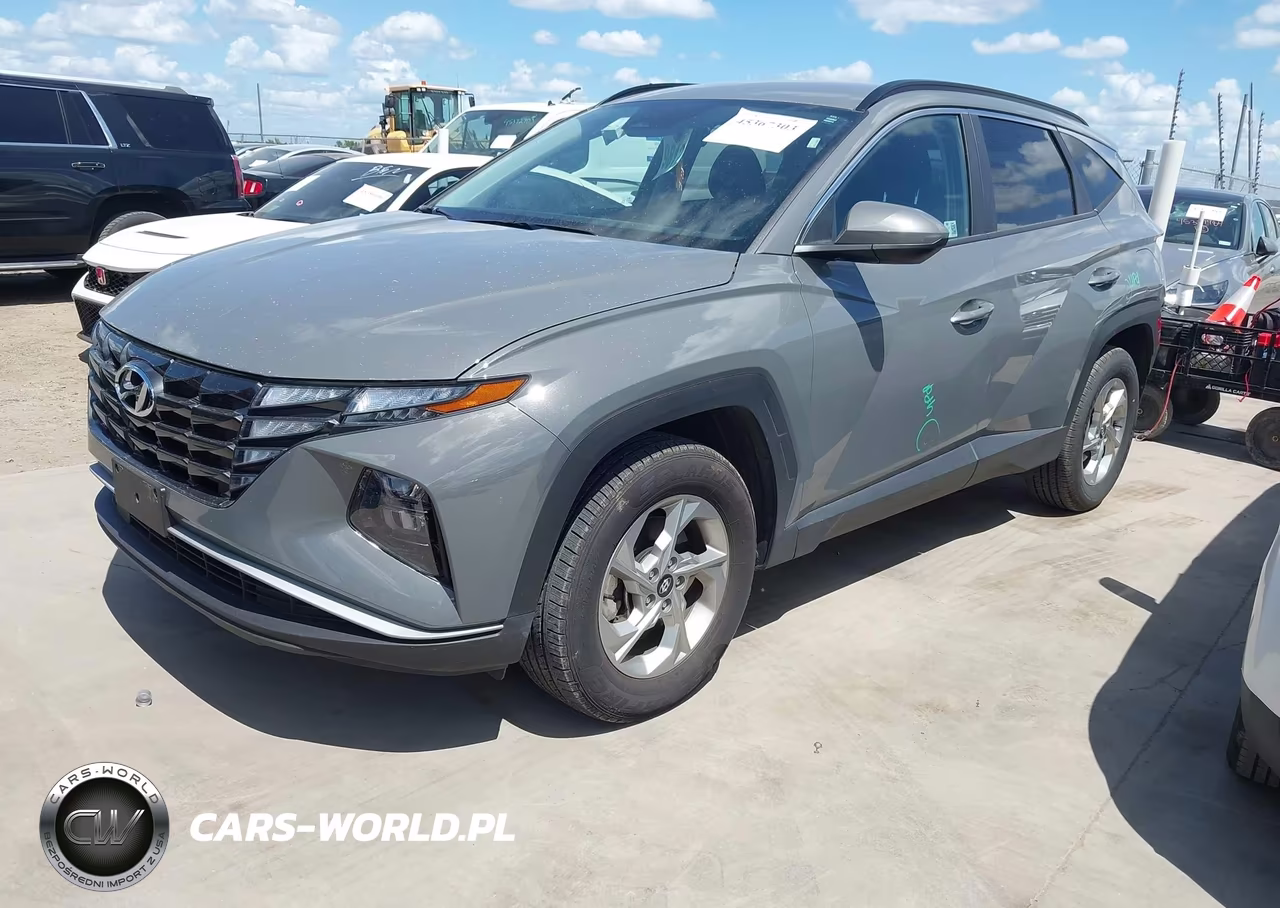 2024 Hyundai Tucson Sel VIN:5NMJBCDE2RH428980 - 2
