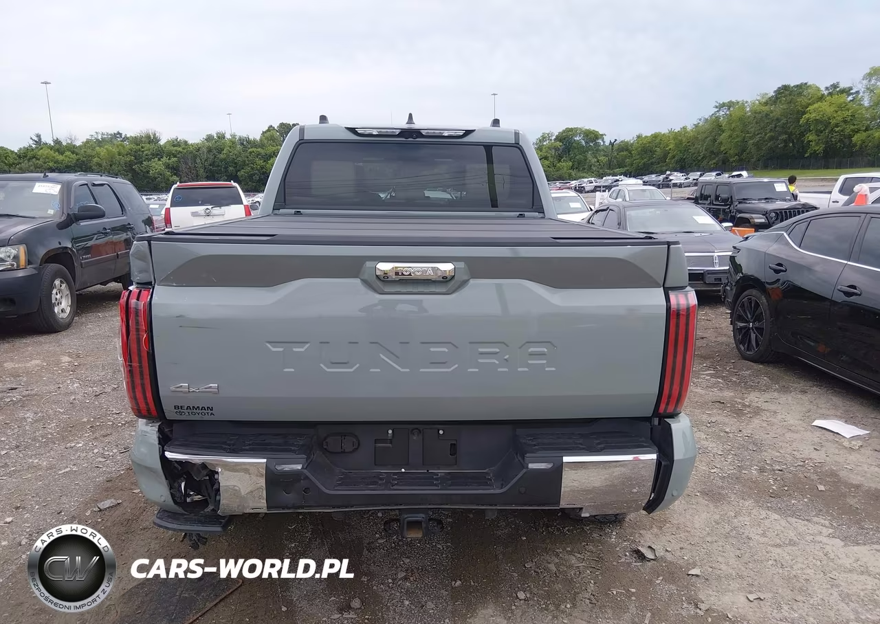 2024 Toyota Tundra 1794 Edition VIN:5TFMA5DB7RX201485 - 17