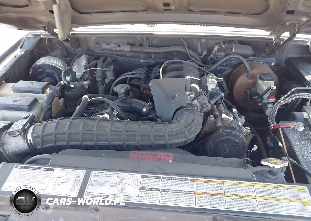 1998 Ford Explorer Eddie Bauer-Limited-Xl-Xlt VIN:1FMZU32X1WZA83025 - 10