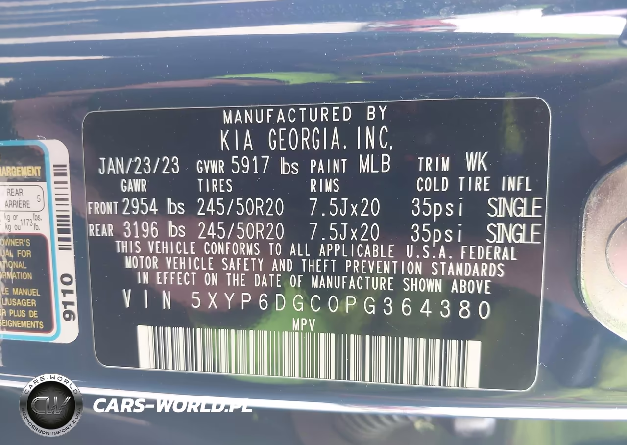2023 Kia Telluride S VIN:5XYP6DGC0PG364380 - 9