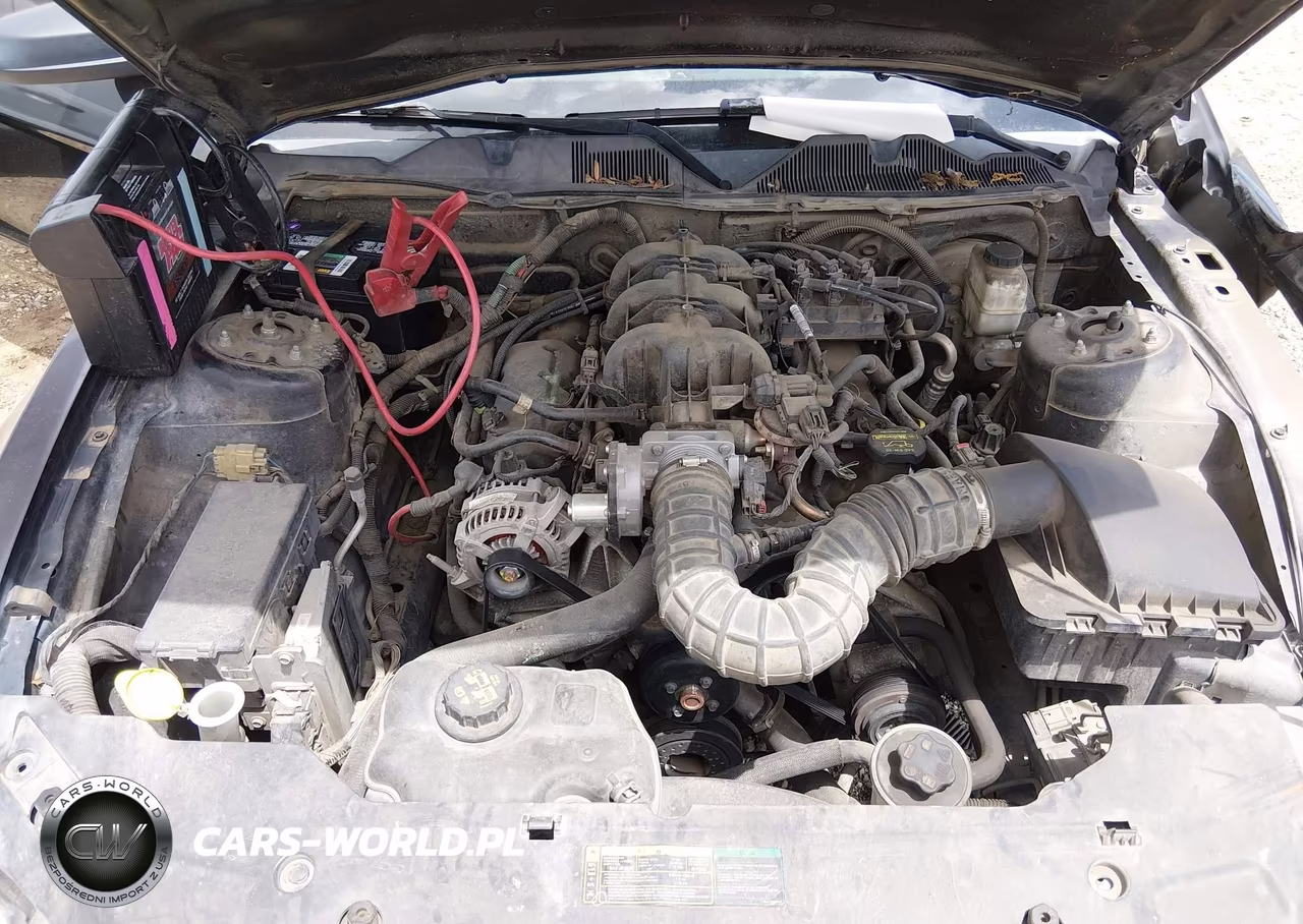 2010 Ford Mustang V6-V6 Premium VIN:1ZVBP8ANXA5151152 - 10