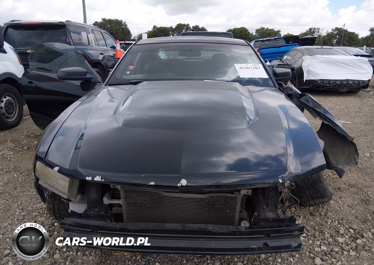 2010 Ford Mustang V6-V6 Premium VIN:1ZVBP8ANXA5151152 - 12