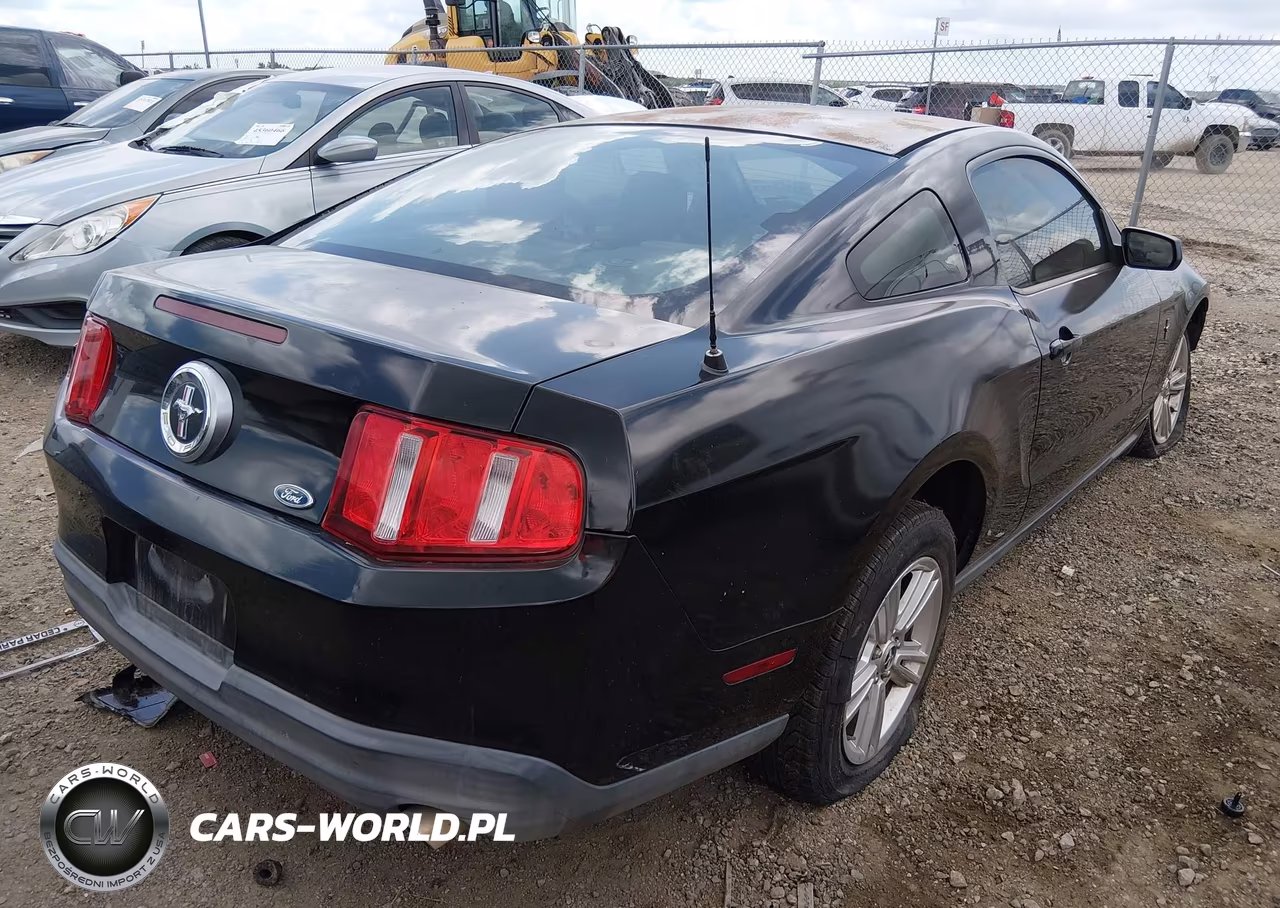 2010 Ford Mustang V6-V6 Premium VIN:1ZVBP8ANXA5151152 - 4