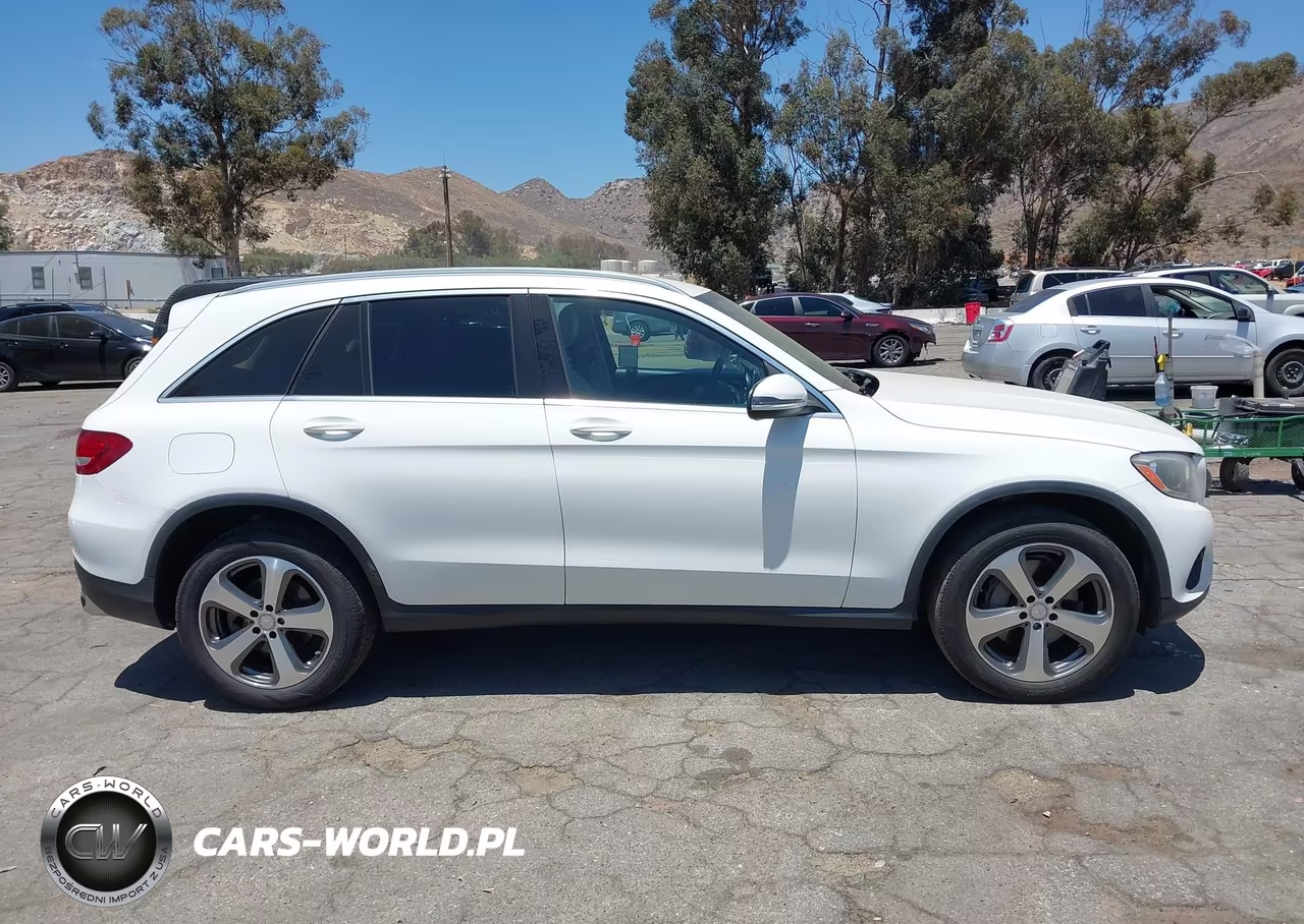 2016 Mercedes-Benz Glc 300 VIN:WDC0G4JB0GF064625 - 13