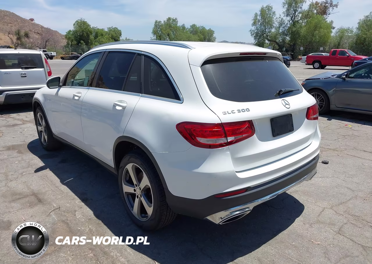 2016 Mercedes-Benz Glc 300 VIN:WDC0G4JB0GF064625 - 3