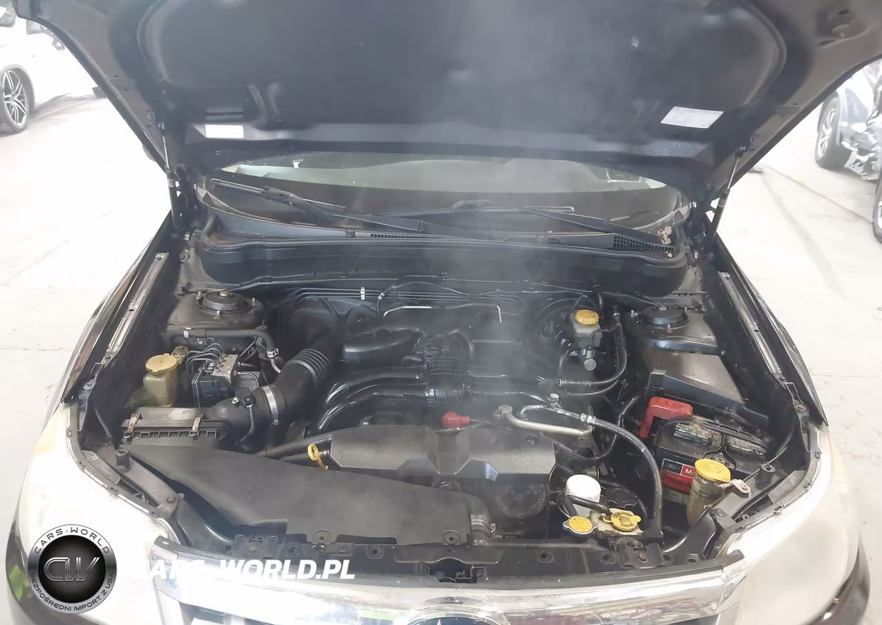 2013 Subaru Forester 2.5X Premium VIN:JF2SHACC2DH431090 - 10