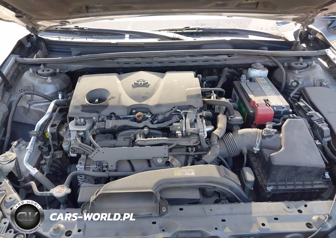 2019 Toyota Camry Se VIN:4T1B11HK4KU803497 - 10