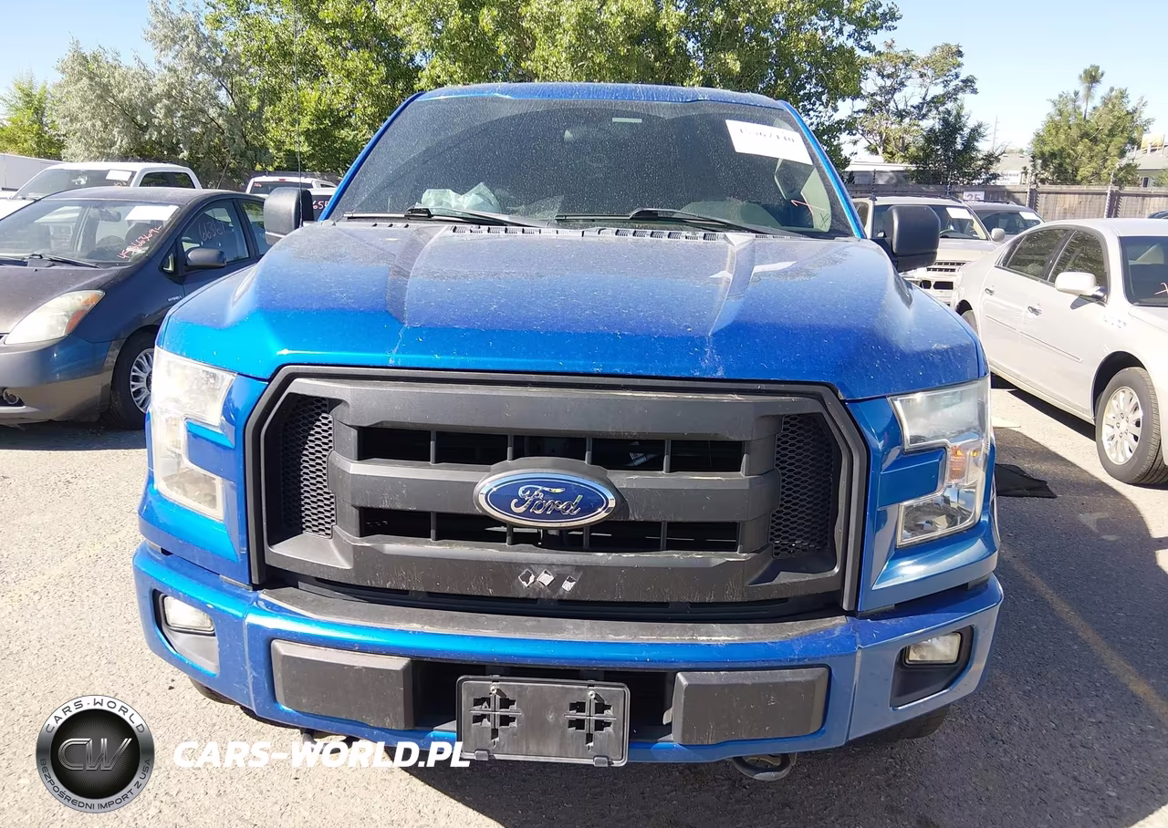 2016 Ford F-150 Xl VIN:1FTEW1EP4GFC10656 - 12