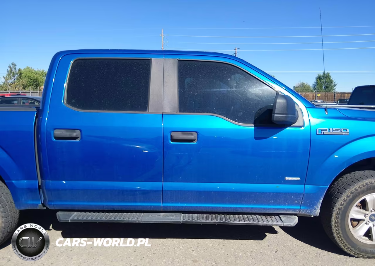 2016 Ford F-150 Xl VIN:1FTEW1EP4GFC10656 - 13