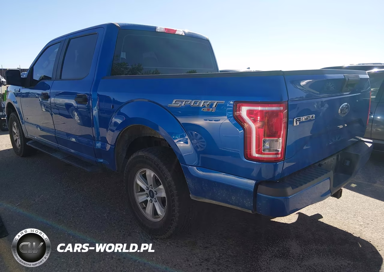 2016 Ford F-150 Xl VIN:1FTEW1EP4GFC10656 - 3