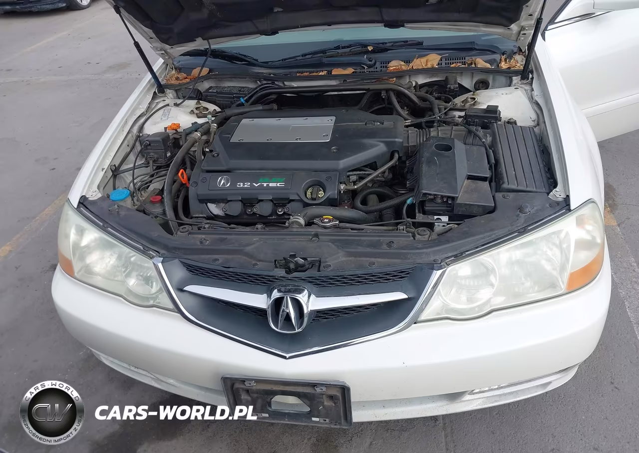 2003 Acura Tl 3.2 VIN:19UUA56733A038290 - 10