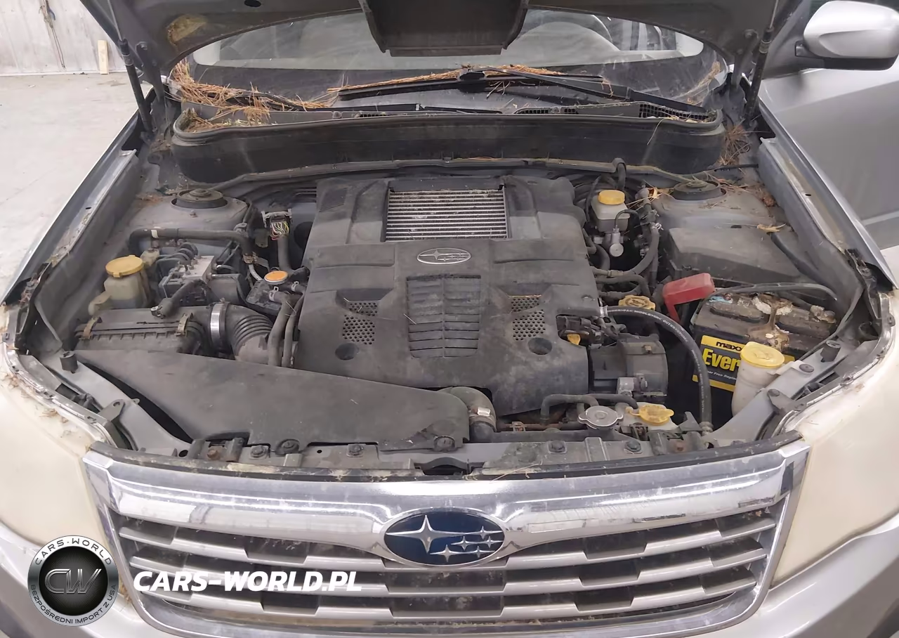 2010 Subaru Forester 2.5Xt Limited VIN:JF2SH6FC7AH800434 - 10
