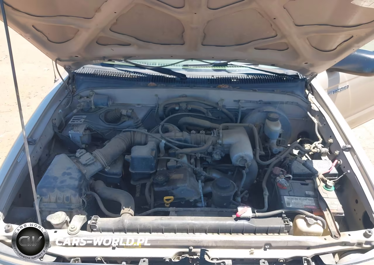 2004 Toyota Tacoma VIN:5TENL42N64Z388421 - 10