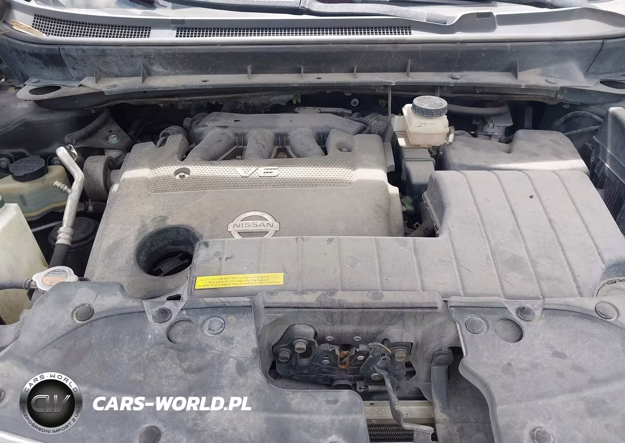 2009 Nissan Murano Sl VIN:JN8AZ18U49W104478 - 10